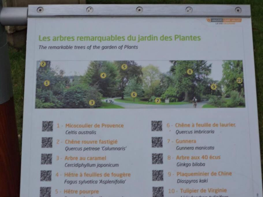 Le Grey-Jardin Des Plantes-Centre Des Congres Lejlighed Angers Eksteriør billede